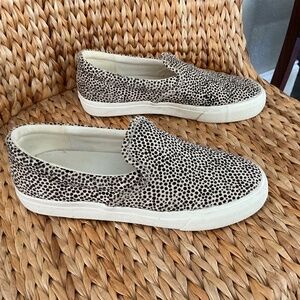 Madewell spotted calf hair slip on sneakers